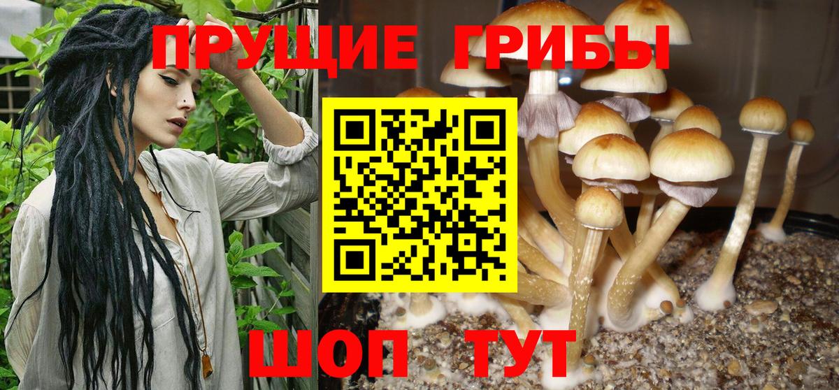 Псилоцибиновые грибы Magic Shrooms  Вход с VPN  Котельники  Псилоцибиновые грибы Magic Shrooms 